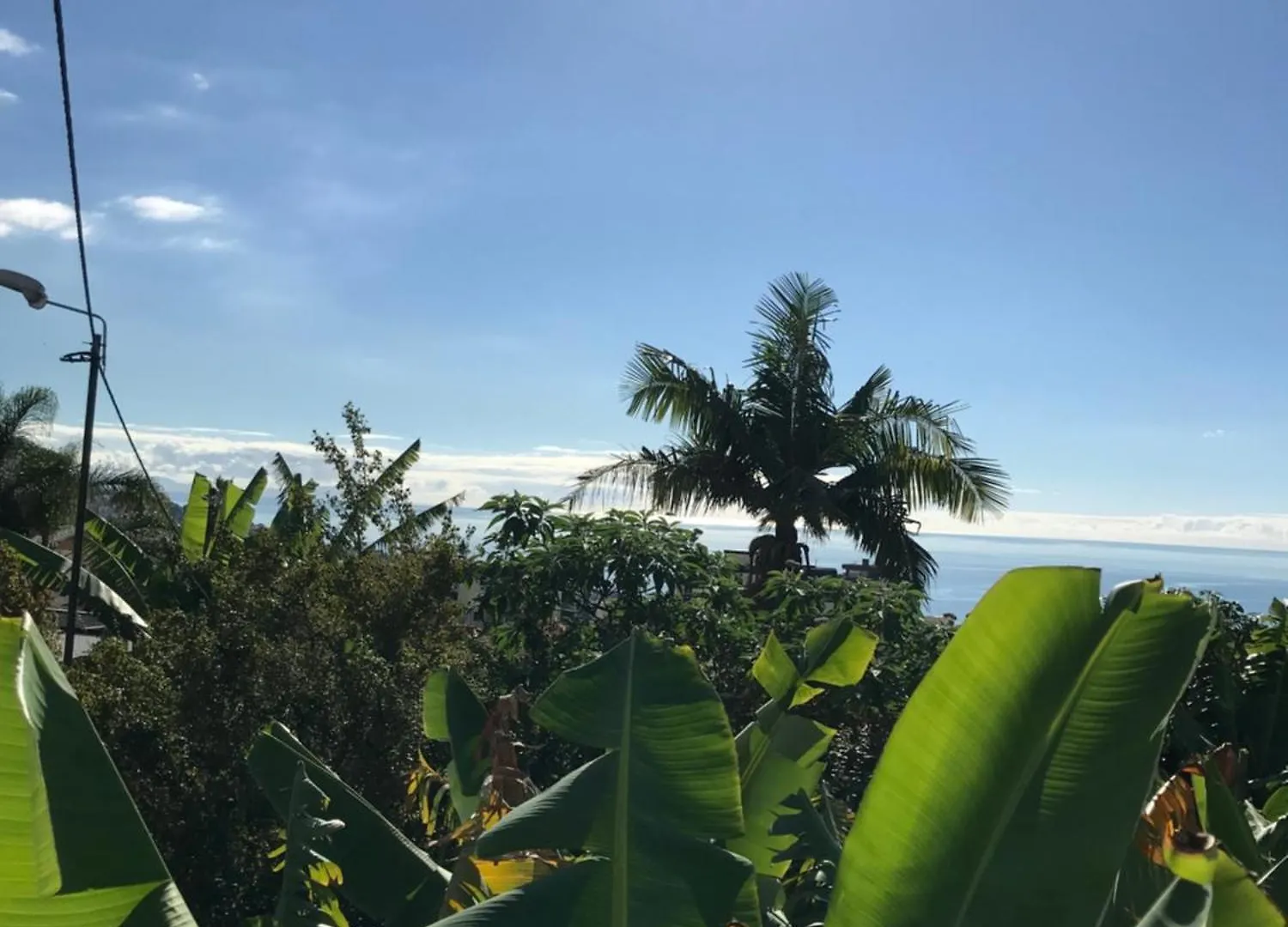 Hotel Casa Beleza à Funchal  Tente de luxe